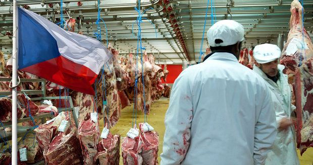 Produkce vepřového masa v ČR je na polovině oproti stavu před deseti lety.