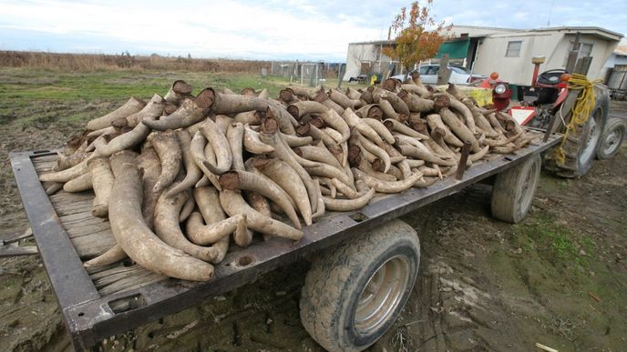 Biodynamické zemědělství