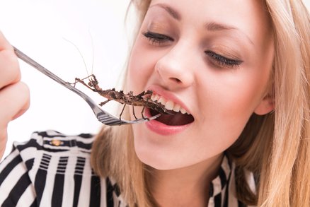 Nové diety roku 2016: Letí severská dieta, můžete vyzkoušet brouky