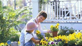25 skvělých rad pro vaši zahradu