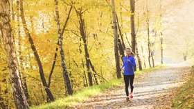 Na přelomu října a listopadu se oteplí, na začátku příštího týdne může být dokonce až 20 stupňů. Během listopadu se pak bude ale zase postupně ochlazovat. (ilustrační foto)