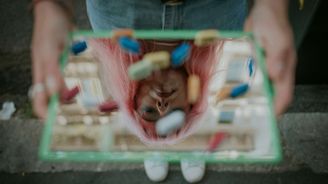 Život s psychiatrickou diagnózou: Co se stane, když léčba pomáhá hlavě, ale ubližuje tělu? Život s psychiatrickou diagnózou: Co se stane, když léčba pomáhá hlavě, ale ubližuje tělu?