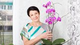 Máte doma orchidej? Co dělat, aby vám nechcípla a vykvetla!