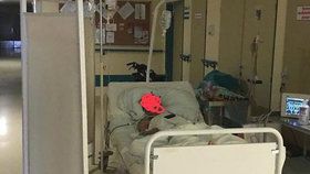 Evu (†64) nechali po operaci 2 dny na chodbě: Nemocnice při péči nepochybila, rozhodl úřad