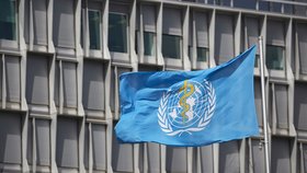 Sídlo Světové zdravotnické organizace (WHO) ve švýcarské Ženevě (6. 4. 2021)