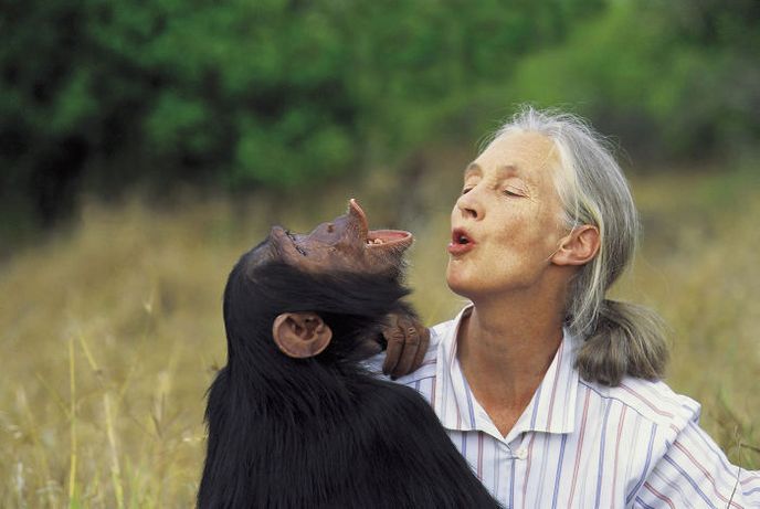 Jane Goodallová