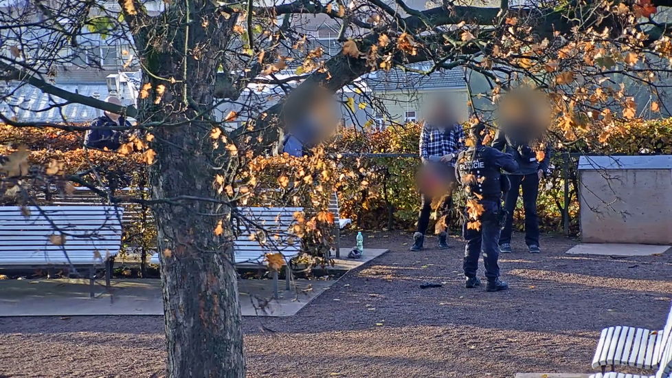 Strážníci neriskovali a zbraň trojici zabavili. Šlo naštěstí jen o airsoftovou pistoli.