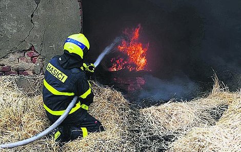 Muž řádil v Kravařích, Opavě-Vlaštovičkách i u Brumovic.