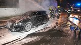 Policie zadržela žháře: Měl u sebe sekeru a pistoli. S kamarádem zapalovali auta a kontejnery