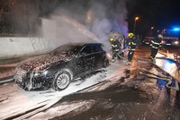 Policie zadržela žháře: Měl u sebe sekeru a pistoli. S kamarádem zapalovali auta a kontejnery
