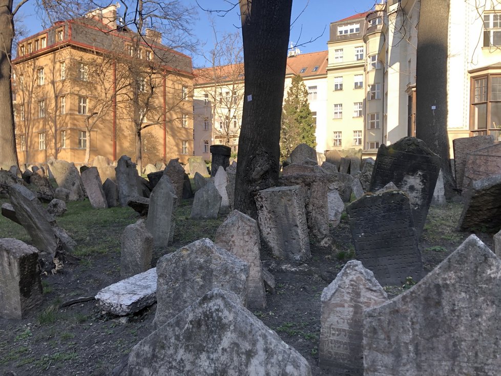 Židovský hřbitov v Praze 1 je vedle Staronové synagogy nejvýznamnější památkou pražského Židovského Města