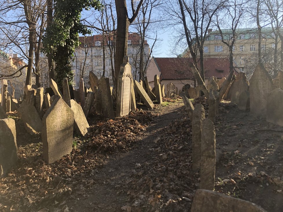Židovský hřbitov v Praze 1 je vedle Staronové synagogy nejvýznamnější památkou pražského Židovského Města
