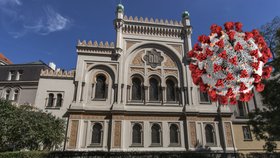 Obří pokles návštěvnosti: Židovské muzeum se stoletou tradicí se kvůli koronaviru bojí o budoucnost