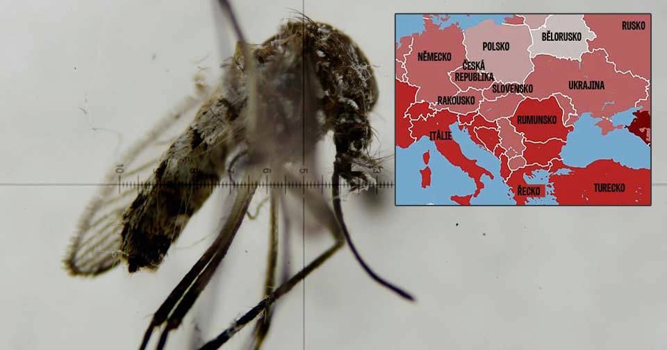 Virus zika ohrožuje i Evropu.