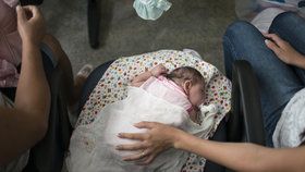 Virus zika způsobuje, že se nakaženým matkám rodí děti s výrazně menší hlavou, což je často zapříčiněno nedostatečně vyvinutým mozkem. (archivní foto)