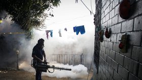 Brazílie bojuje s virem zika, který ohrožuje novorozence.