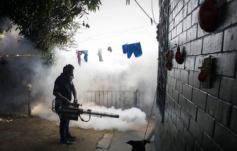 Brazílii děsí záhadná nemoc. Pacienti mají černou moč a někteří už zemřeli