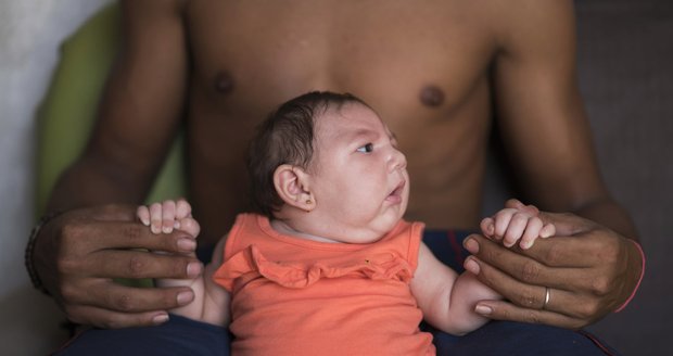 Smrtící virus poškozuje novorozence: Dánsko hlásí první případ zika 