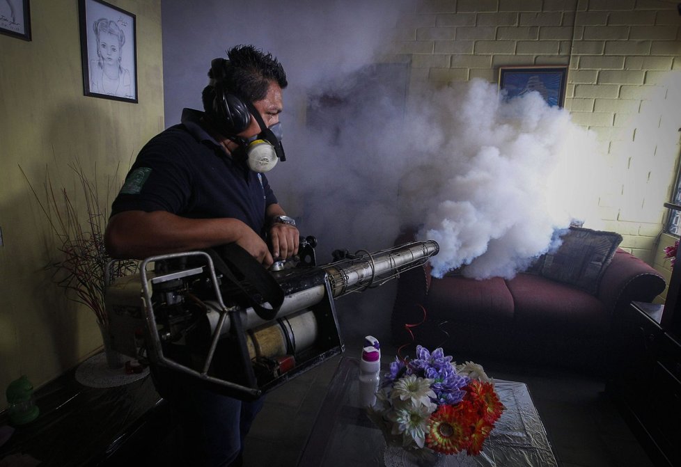 Brazílie bojuje s virem Zika, který ohrožuje novorozence