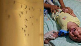 Slovensko hlásí první podezření na nákazu virem zika. Jde o pacientku, která se vrátila z Jižní Ameriky. (ilustrační foto)