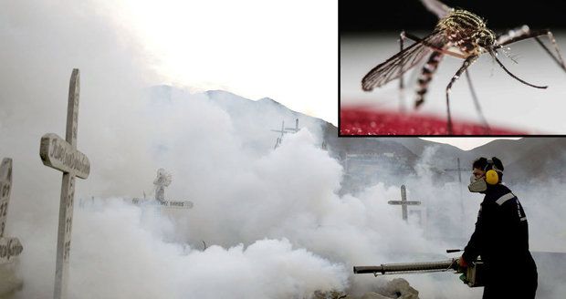 Virus zika je hrozbou pro celý svět. WHO vyhlásila stav nouze