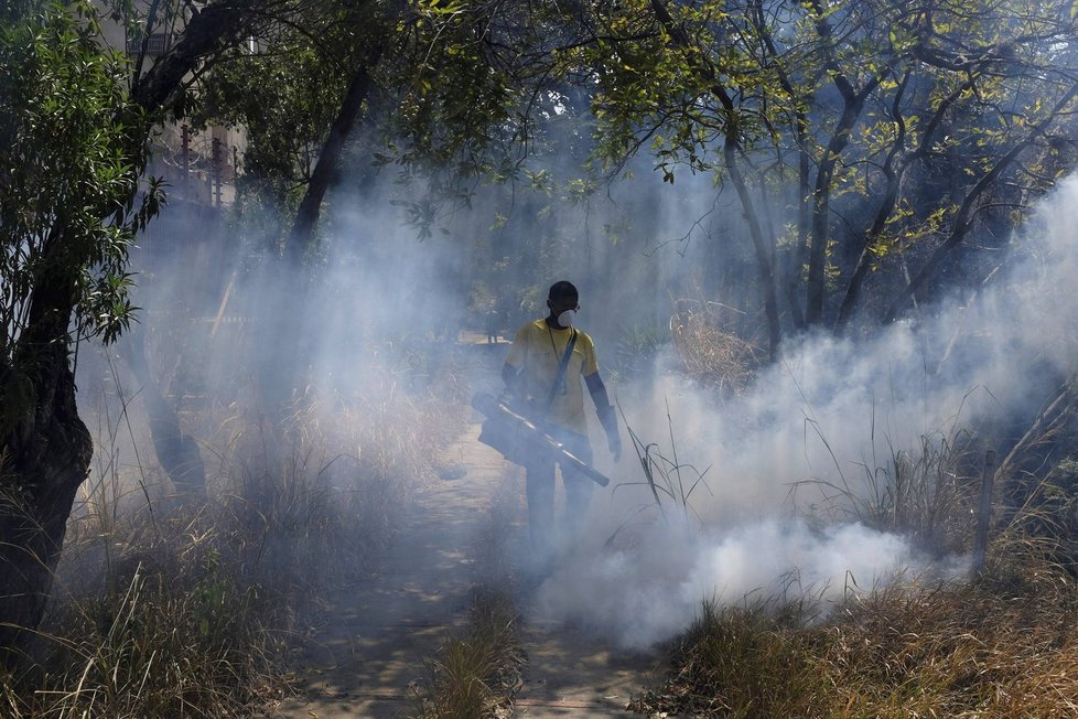 Virus zika zasáhl spoustu dětí