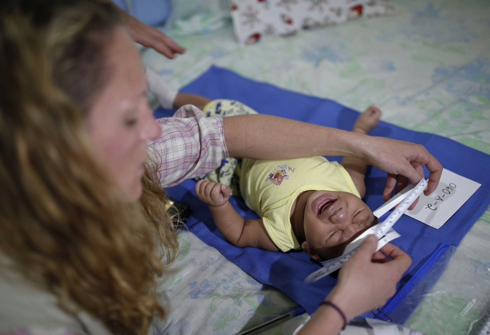 Zika už zasáhla dvacet zemí Jižní a Střední Ameriky.