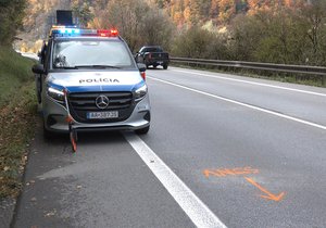 Lukáš (†22) zemřel sám u silnice, řidič ho srazil a ujel.