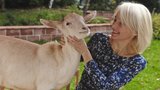 Žilková přišla o kozu kvůli vnukovi Kryšpínovi