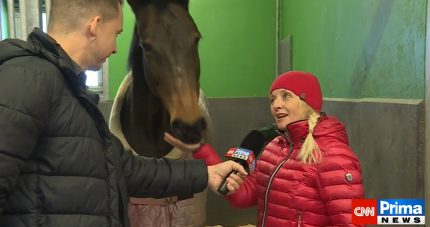 Veronika Žilková jela s nemocným koněm k veterináři.