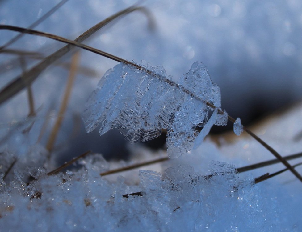 Krystalky vznikají, když srážkové kapky ulpí na větvičkách chladnějších, než je teplota okolního vzduchu.