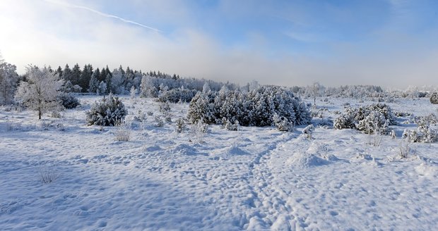 Invierno en Pernink en las Montañas Metálicas (24 de enero de 2026). Invierno en Pernink en las Montañas Metálicas (24 de enero de 2026).