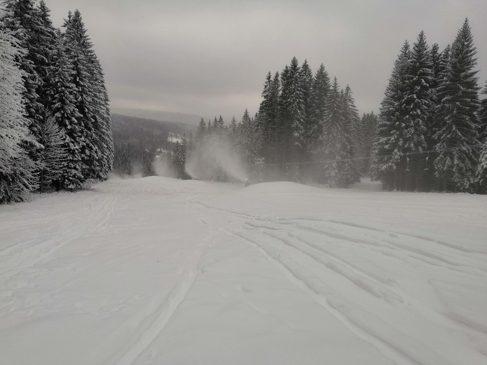 Davy lidí na Šumavě (9.1.2021)