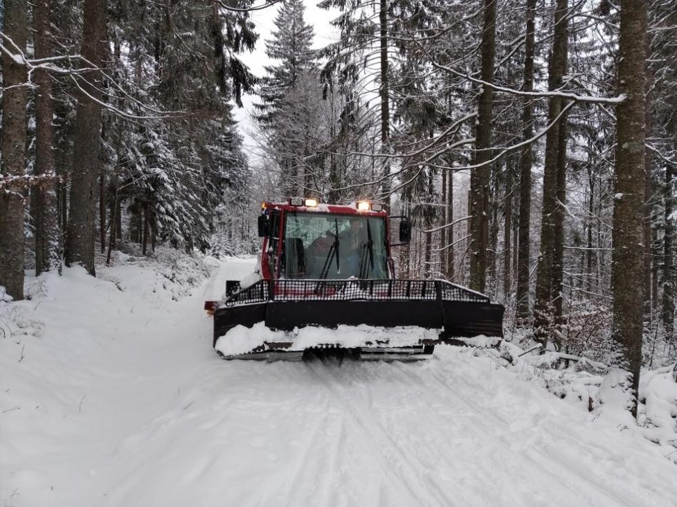 Šumava