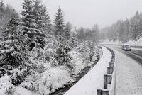Mrazy až -27,8 stupně Celsia si v Česku vyžádaly první oběť (†67)