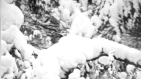 Čtenářka Irma Samohejlová poslala do redakce fotku maminky z roku 1964. Takhle vypadala zima na Božím Daru v Krušných horách