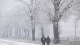 V Česku začíná chumelit: Za pár hodin napadne až 20 centimetrů sněhu, kde?