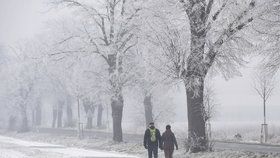 Příští týden podle meteorologů zůstanou maximální denní teploty pod bodem mrazu.