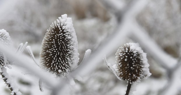 Příští týden podle meteorologů zůstanou maximální denní teploty pod bodem mrazu.