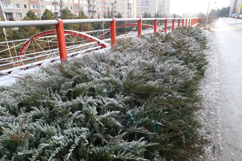 Moravu a Slezsko čeká až záporných 18 stupňů Celsia, meteorologové varují před omrzlinami