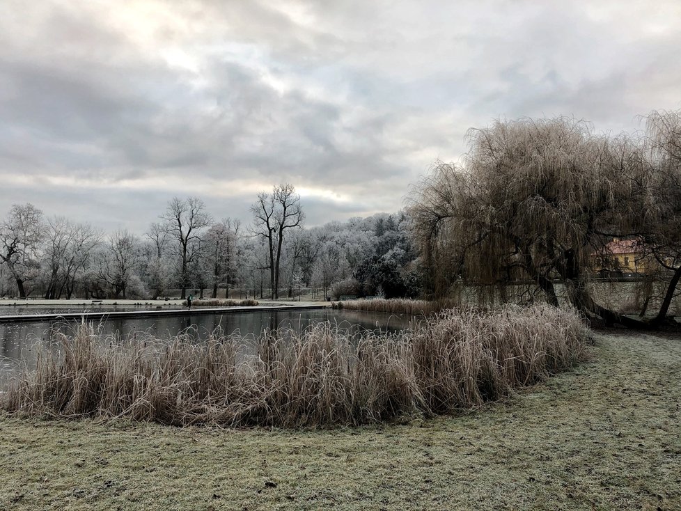 Moravu a Slezsko čeká až záporných 18 stupňů Celsia, meteorologové varují před omrzlinami