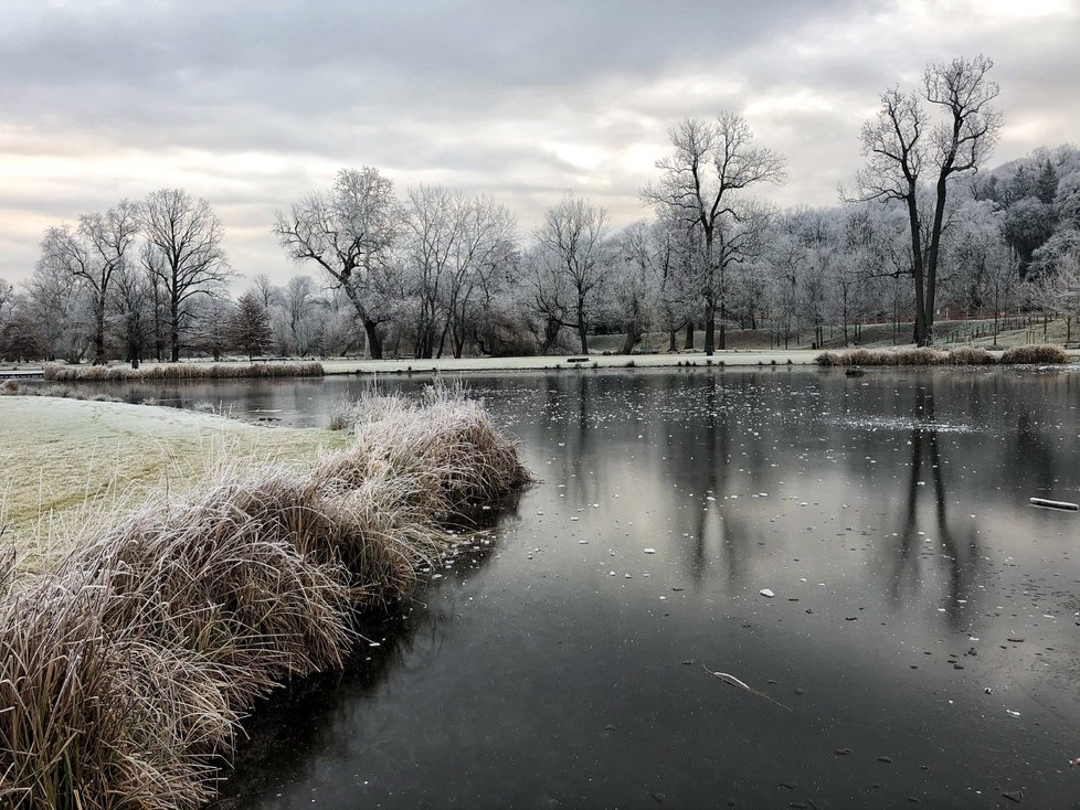 Moravu a Slezsko čeká až záporných 18 stupňů Celsia, meteorologové varují před omrzlinami