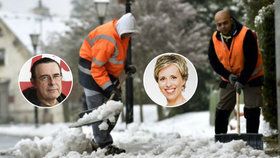 Meteorologové, myslivci a věštci předvídají: Jaká bude letošní zima?