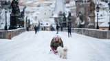 V Česku bude nejchladněji v týdnu od 1. února, ukazuje dlouhodobá předpověď