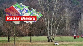 Přelom roku bude jarní: Teploty vylezou až na 15 stupňů Celsia. Sledujte radar Blesku