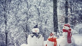 V Satalicích hledají nejhezčího sněhuláka. Musí to být místní patriot