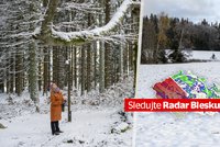 Sníh a námraza komplikuje dopravu v Česku! Řidiči, pozor na ledovku. Sledujte radar Blesku