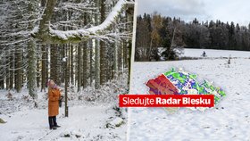 Sníh a námraza komplikuje dopravu v Česku! A Sněžku zasáhl orkán. Sledujte radar Blesku