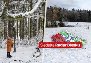 Sníh v Česku (19. 11. 2023)