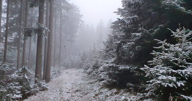 Sníh v Česku